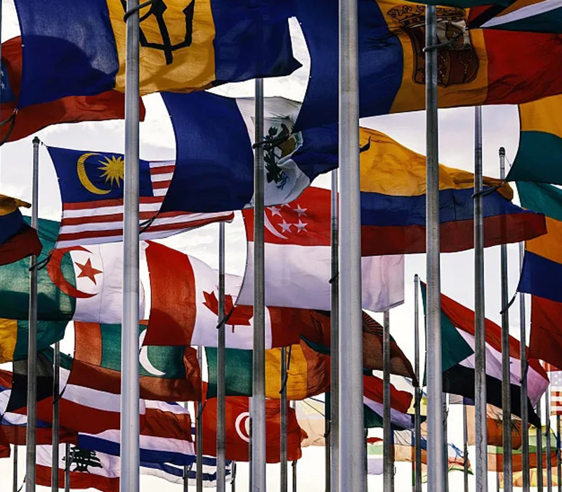 Yiwu Hongfu’s Products Reach Over 80 Countries Worldwide